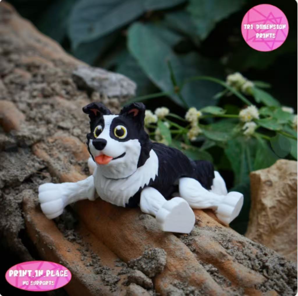 흰색과 검정색,