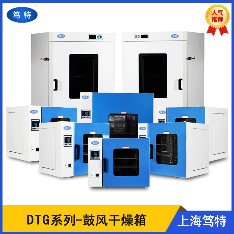 Шанхайская DTG-9123A электрическая термостатическая сушильная камера