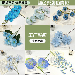 �{ɫ�¼����滨3�^�{�۹���Nٻ��������l�Y�ÔzӰ�����{����