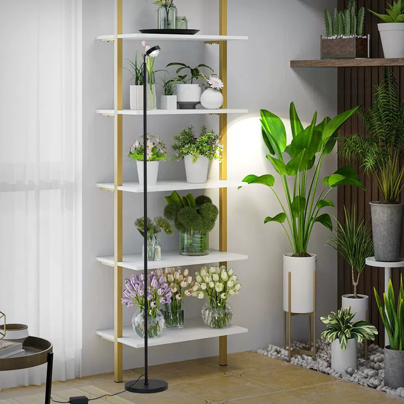 Fill light, floor plant lamp solar-powered, comfortable light spectrum