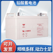 汤浅蓄电池NP100-12(12V100AH)UPS免维护铅酸蓄电池 12V120AH