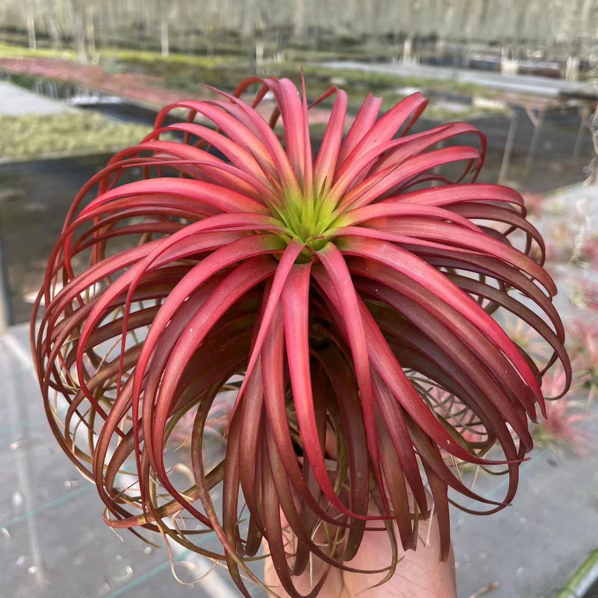 2024-04-24 03:41:19.jpg