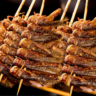 Λ�ƴ����촮����С������ʳ���F��С�⴮��ը����8ֻһ��20��1��