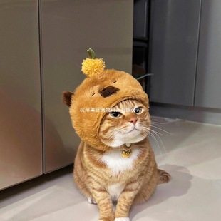 ��Ƥ����؈���^�׌���ɐ�С��Ȯñ��؈�^����������Ʒ���յ���