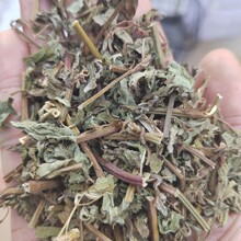 断血流1公斤野生正品  止血草 灯笼草 荫风轮 九层塔 风轮菜