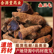 血三七中药材 红三七 纽子七 血伤七 散血丹 盘龙七根 鸡血七批发