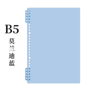 B5 쉘/모란디 블루