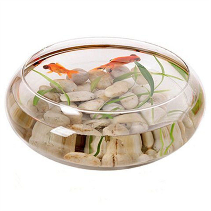 水培玻璃花瓶透明碗莲荷花铜钱盆缸养睡莲盆缸碗莲盆铁树专用盆