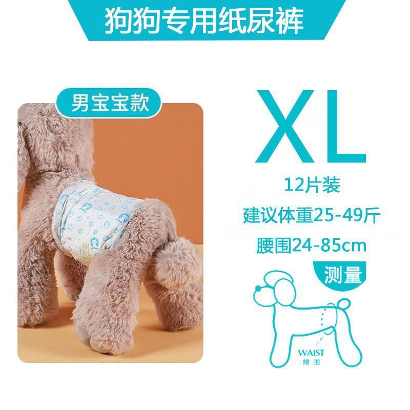 犬用おむつ、ペット用おむつ、雄犬専用、雌犬用、テディビション、プードル|undefined