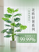 ������Gֲ���W�L�p���b[���پGֲ��ɳ�l߅�����Gֲ��