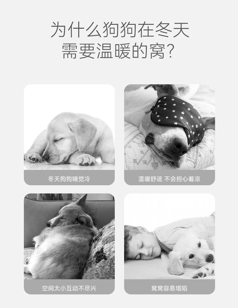 一鍵復製_20220916150143