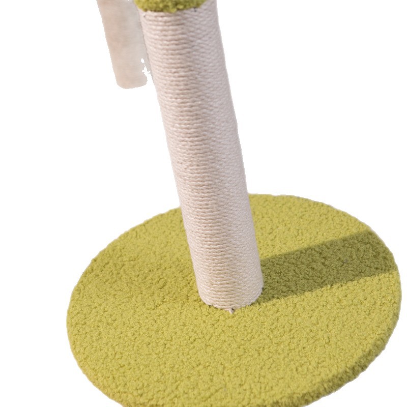 Когтеточка серебристо-серая большая