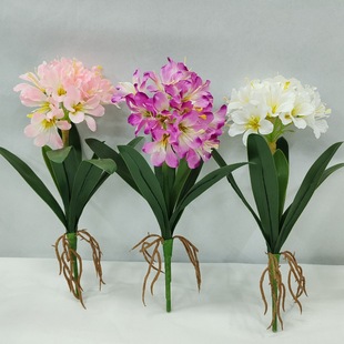 �羳��Ʒ�ָ�ܛ�z��������m���L���ӆ�֧��c������diy�廨�b�