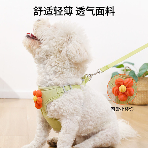 Pipitao petal harness pet leash cat puppy dog ​​leash leash supplies dog leash