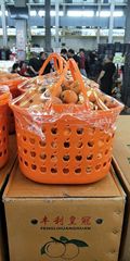 果物かごビワかご楊梅かご20斤10斤5斤手提げかごプラスチック