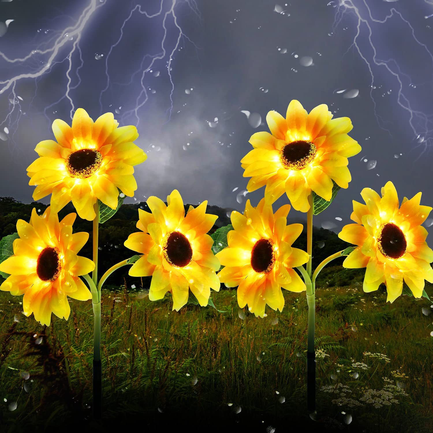 71HOJV4++uL._AC_SL1500_