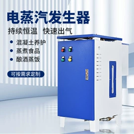 蒸汽发生器;加热器;电热器