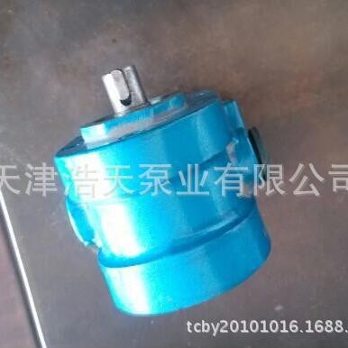 高压齿轮泵2CG0.6 不锈钢高压齿轮泵 增压齿轮泵 高温齿轮泵