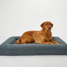 ����ɳ�l��˯���δ�boucle���C�Ӻ�˯�|���Aɳ�l��Pet sofaɳ�l�C
