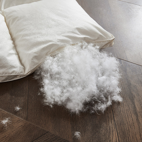 High-end Goose Down Comforter - Thick 95% White Goose Down Winter Blanket with Tassels, Suitable for Spring and Autumn