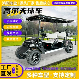 高尔夫球车;电动观光车;其他电动车