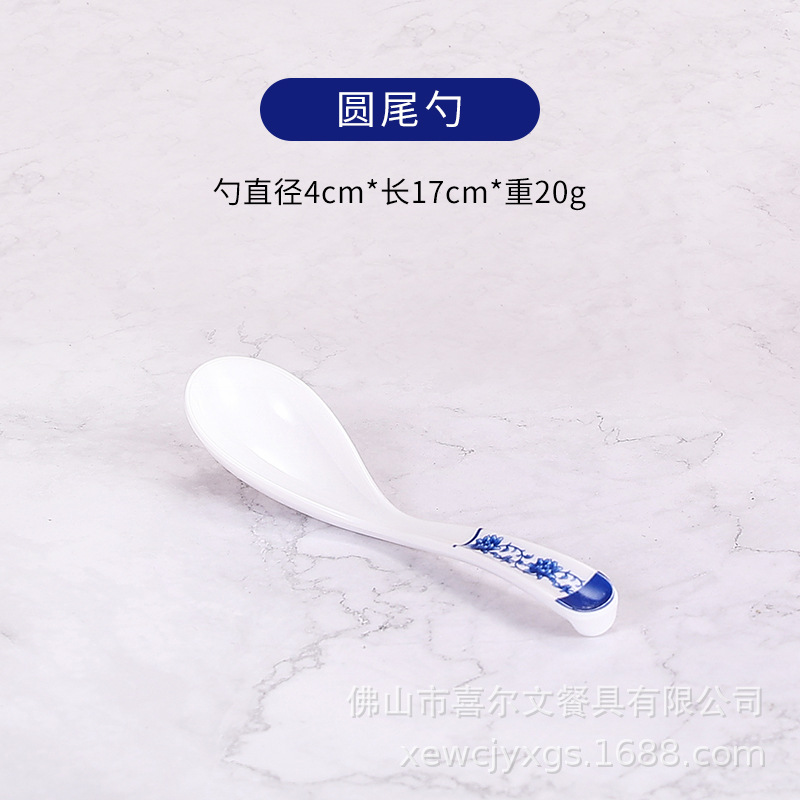둥근꼬리숟가락 (A5 흰색, 파란색, 흰색)