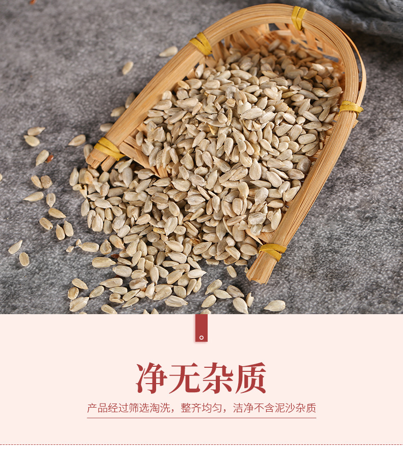 Roasted Sunflower Seed Kernels Kui Hua Zi Ren Plain Flavor Bulk 500g Baking Ingredient specifications