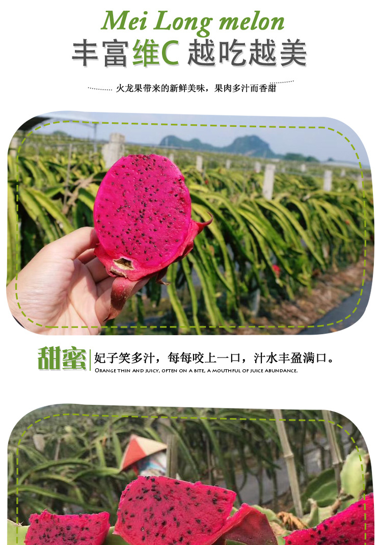 火龙果详情页_07.jpg