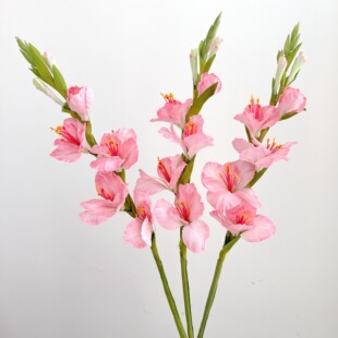 ���m�����滨�b[�����ܸߙn�ٻ��߼��п͏d��ش�ƿ�廨�[�O