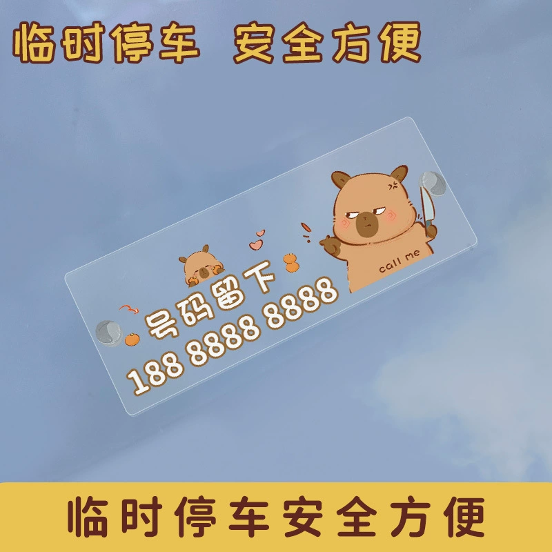 Персонализированный милый номер парковки капибары