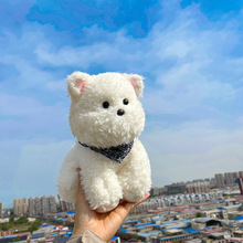 ����W�t���ߵ�С��ë�q��߹���ץ�C�����ރ��Q�YƷ���l