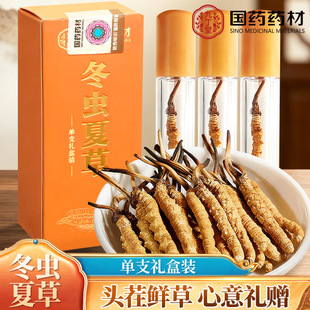 ���x�Ĳ݆�֧���b���ɲ��Ҝ�����ֱ�����l