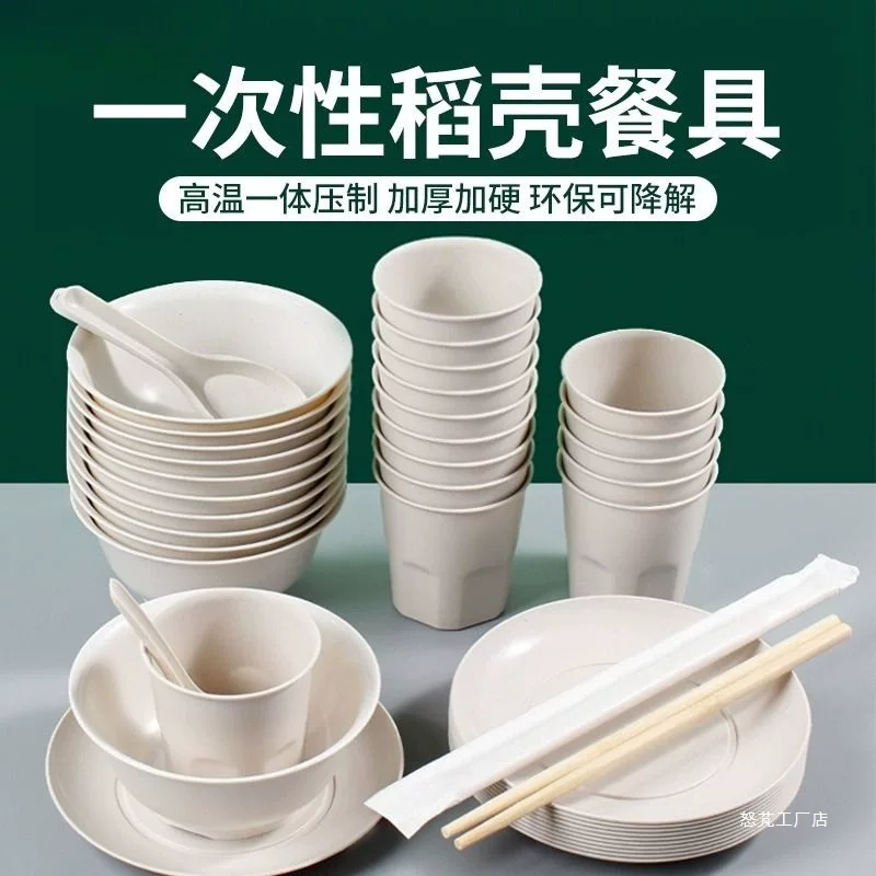 Disposable tableware, set, spoon for home use for commercial use, 4 piece set