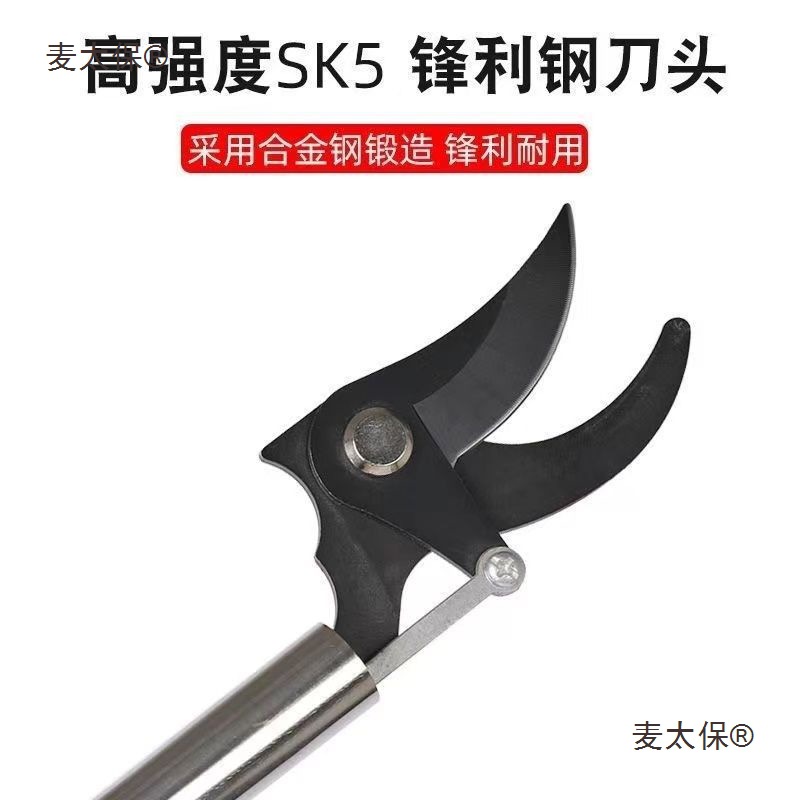 槐花剪高枝剪修枝剪不锈钢修剪园林疏花稀果剪枝槐米加长杆麦太保