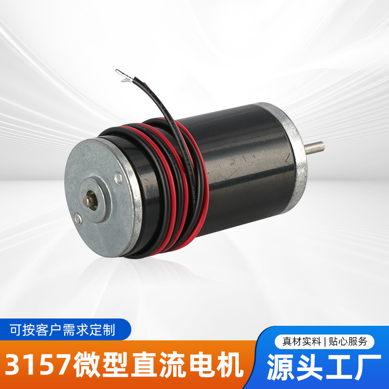 12V24V 마이크로 DC 브러시 모터 전동 칫솔 국수 기계 스쿠터 전기 스크루 드라이버 근막 총 마