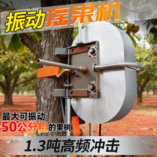 ���ӓu��ժ���C�����ɹ����ʓu���C�t�������ի@�C�Ͳ���Ó���C