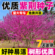 ���G�����窚�U�������Ե��d�^�p�M�l�t�����G�^�p��ľ�ͺ��G���^