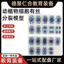 数理教学器材;教学演示用品;教学仪器