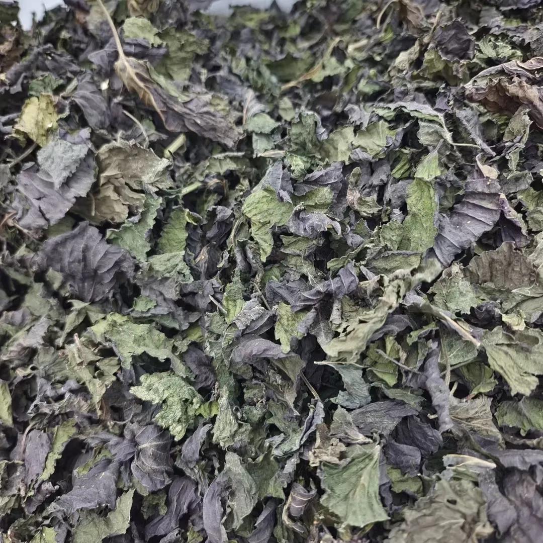 Dried Perilla Leaf Zi Su Ye 500g for Tea and Foot Soak specifications