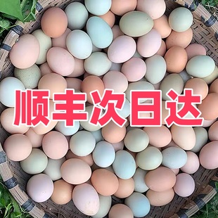 ���r���ﵰ���u������b�r��ɢ�B�r�u�����|�S����ζ�I�B�u��