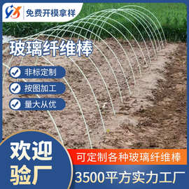 批发农用拱棚支架小拱棚玻璃纤维杆秧杆玻璃纤维棒帐篷杆蚊帐杆