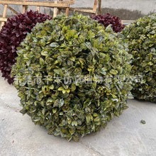 �����ľ���ٺ�ͩ������G����С�~�S���f�����߅�S���ľ��