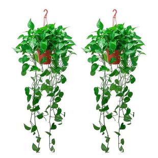 ����G�}���Գ���ȩ�͏d��ˮ��ˮ�໨�ܷ�ݗ��ֲ���G�j�k���҃�