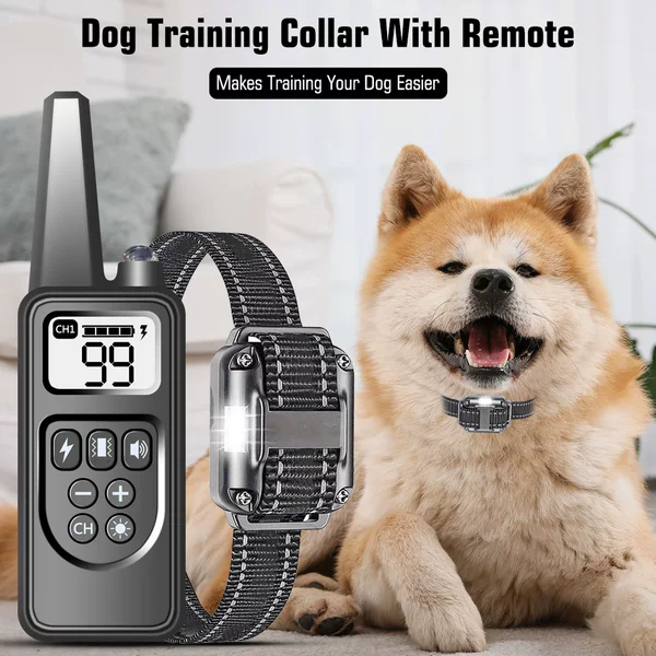 Bee Pulse Smart Electronic Device with Three Modes for Training, Vibration, Waterproof Level, Ip67 Electronic Dog Training Device