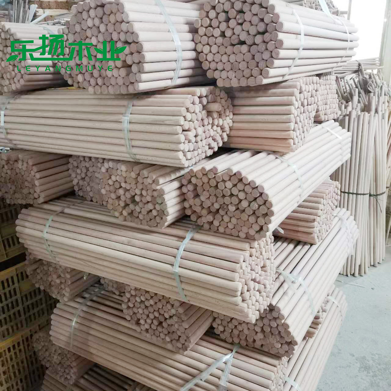 6efc7ee56bd7dc8e866219a65817e5