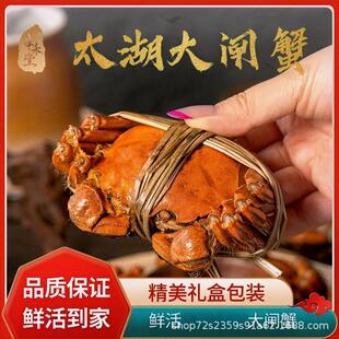 ̫�����lз-���lзз��-�S���S�l-��з���r