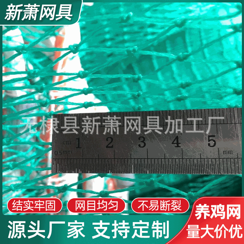 供应养鸡网 有节网围鸡网圈鸡网养殖网 无节绿色塑料鸡网养殖网