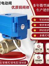 CWX-15Q/N΢�͵綯������ ����ֱ��4��DN15 20 25 32ͭ��ͨˮ��