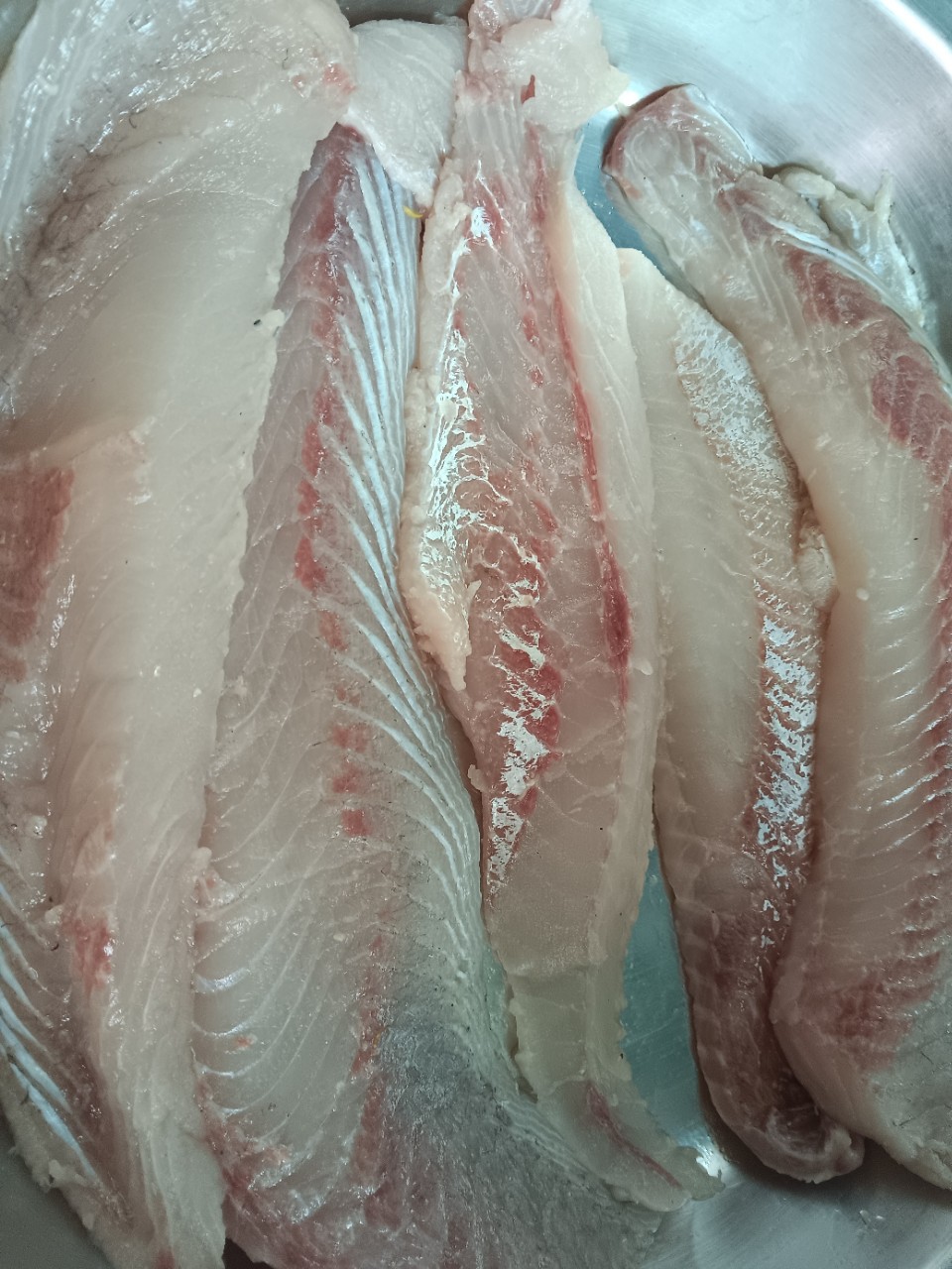 花鲢鱼大头鱼鳙鱼白肉去掉中间瘦肉的鱼肉鲜甜加工高品质鱼丸的原