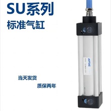 �ǵ¿�������׼����SU63/80/100X25/50/75/100/200/300/500/1000S